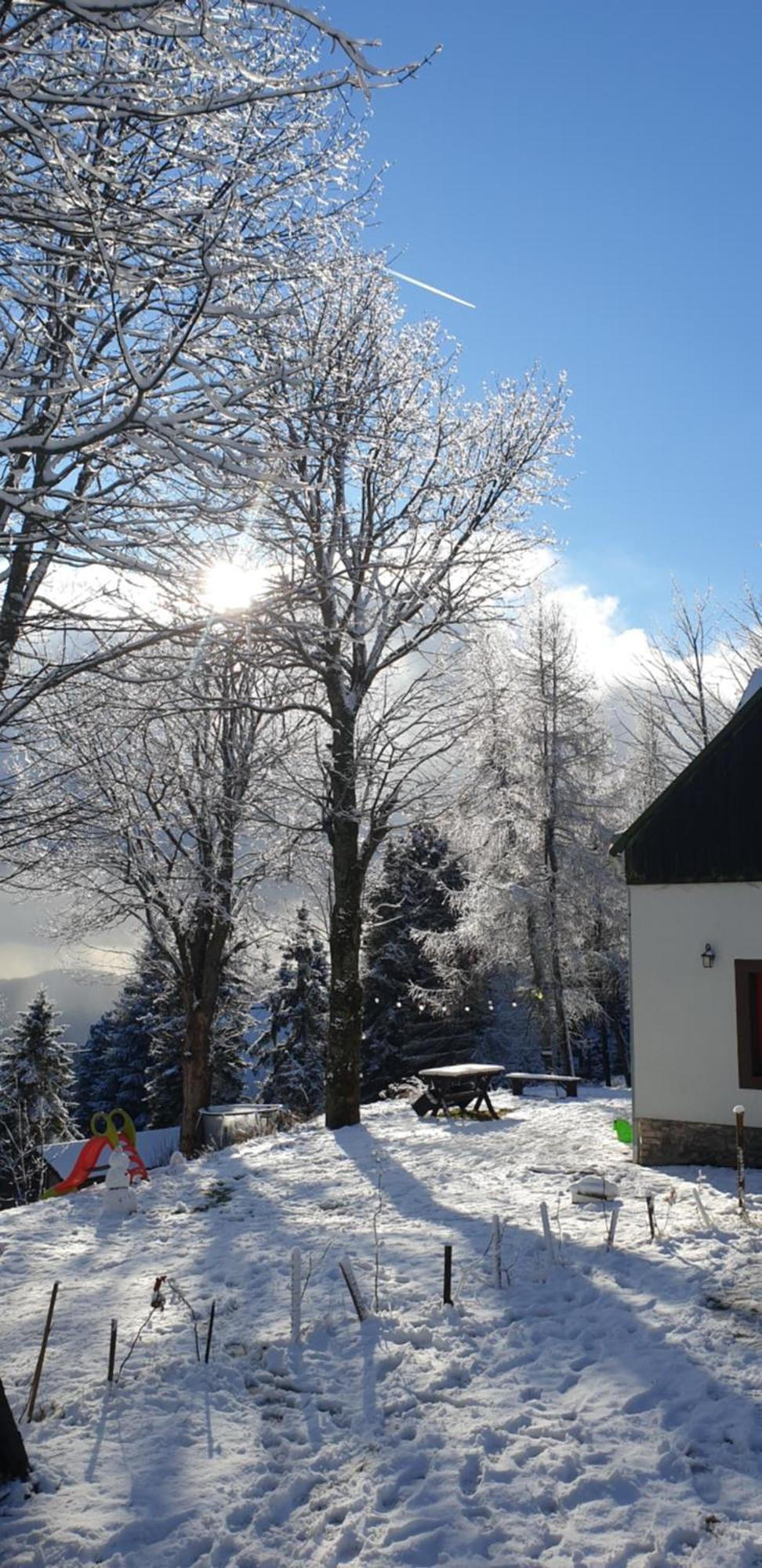 Five Maple Home For Families And Wild Nature Lovers Medenec Dış mekan fotoğraf